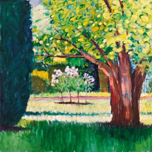 Verano de Marco Cazzulini